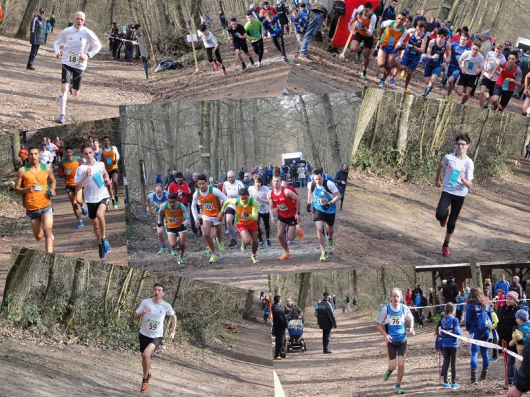 Laufbegeisterung pur und 6mal Kreis-Waldlaufmeister