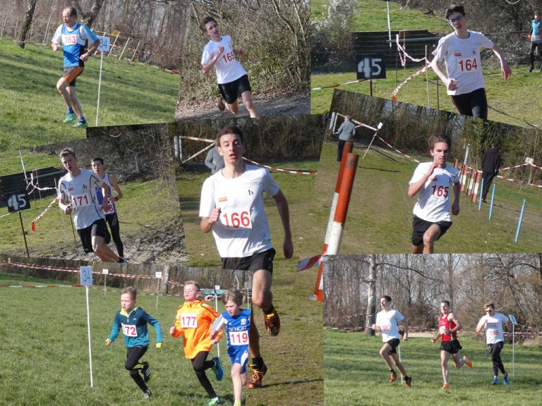 Fünf Rheinhessische Meistertitel für TSG Cross-Läufer