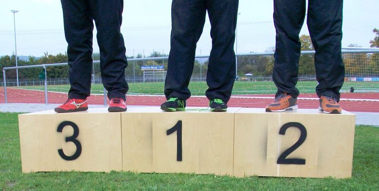 Das sind sie: die 39 TSG-Meistersportler 2016