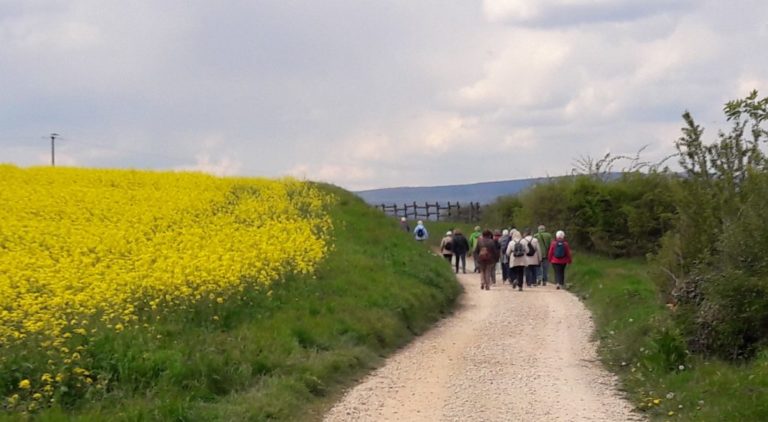 TSG-Seniorenwanderung am 27. Februar