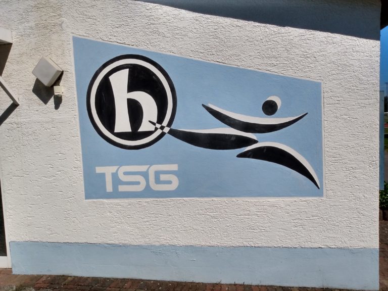 Obbe un Unne: Freizeitvolleyballer der TSG Heidesheim und TSV Wackernheim suchen Verstärkung